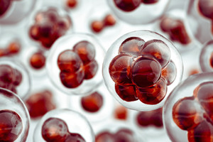 Cells